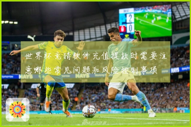 世界杯竞猜软件充值提款时需要注意哪些常见问题和风险控制事项