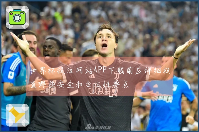 世界杯投注网站APP下载前应详细核查哪些安全和合法性要点