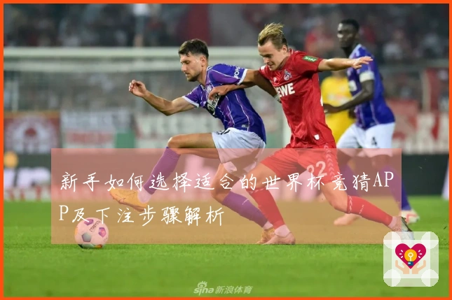新手如何选择适合的世界杯竞猜APP及下注步骤解析