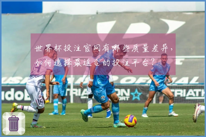 世界杯投注官网有哪些质量差异，如何选择最适合的投注平台？