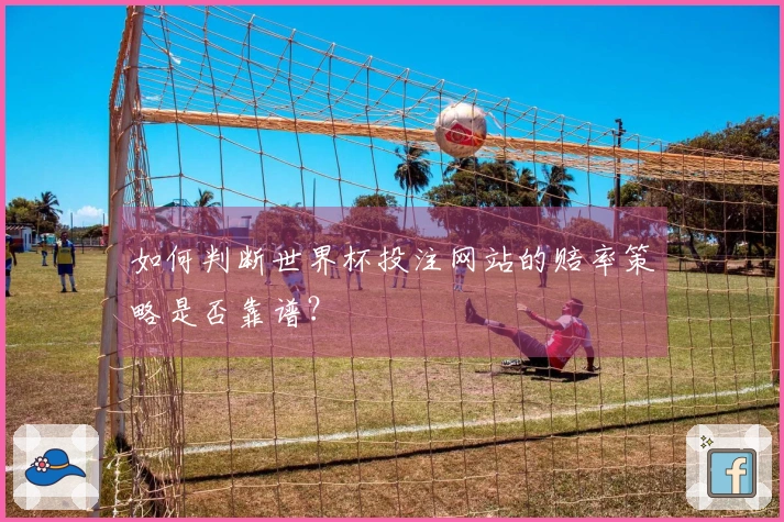 如何判断世界杯投注网站的赔率策略是否靠谱？