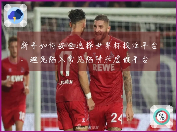 新手如何安全选择世界杯投注平台，避免陷入常见陷阱和虚假平台