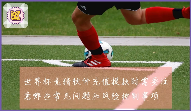 世界杯竞猜软件充值提款时需要注意哪些常见问题和风险控制事项