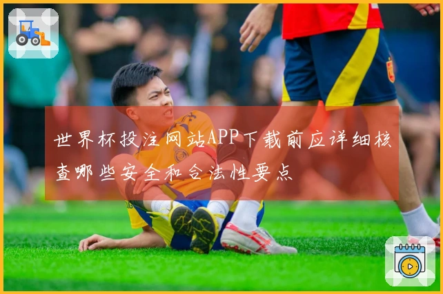 世界杯投注网站APP下载前应详细核查哪些安全和合法性要点